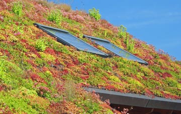 Tweeddaleburn living roof systems