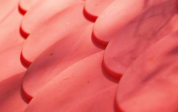 Tweeddaleburn plastic roof costs