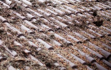 Tweeddaleburn roof cleaning companies