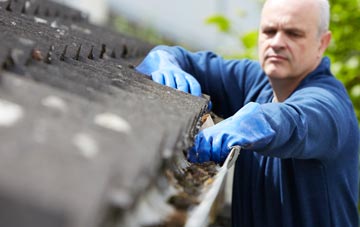 cleaning and inspecting Tweeddaleburn roofs