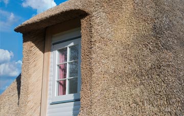 Tweeddaleburn thatch roof disadvantages