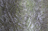 Tweeddaleburn fibreglass roof work